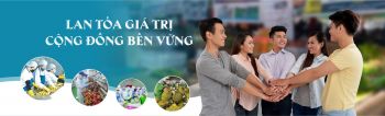 Tư vấn Phát triển cộng đồng, hợp tác xã, tổ hợp tác, doanh nghiệp vừa và nhỏ