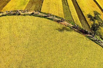 Xây dựng nông thôn mới gắn với bản sắc, giá trị nông thôn